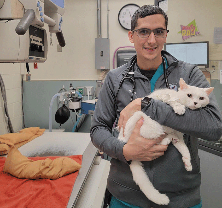 A veterinarian in scrubs and a stethoscope smiles while holding a white cat in a veterinary clinic exam room with medical equipment in the background.
