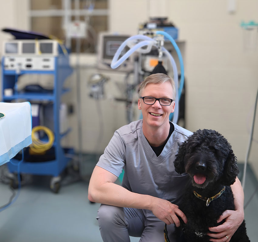 A smiling veterinarian in scrubs kneels next to a black curly-haired dog in a veterinary clinic, with medical equipment and an examination table visible in the background.