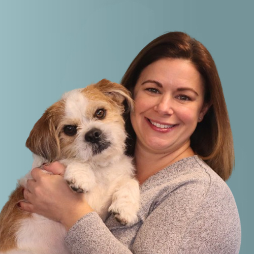A person smiling and holding a small brown and white dog against a teal background. The person has shoulder-length brown hair and is wearing a gray sweater. The dog is looking at the camera with a curious expression.