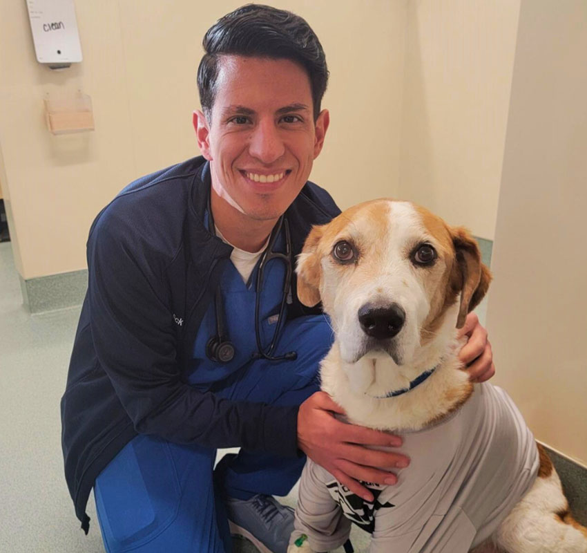 A smiling veterinarian in blue scrubs and a stethoscope kneels next to a brown and white dog wearing a gray shirt, gently holding the dog's shoulders inside a veterinary clinic.